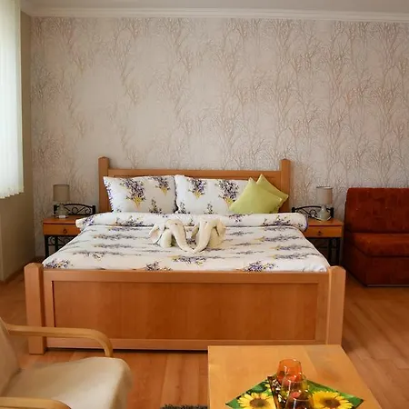 Hotel Banik 2*