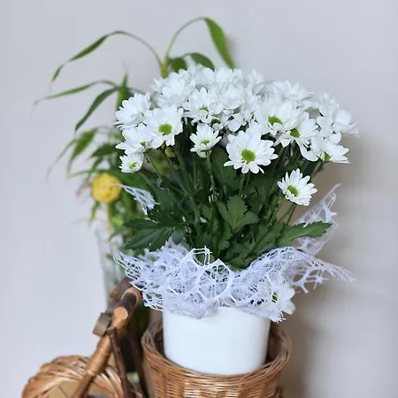 Banik 2* 汉德洛瓦