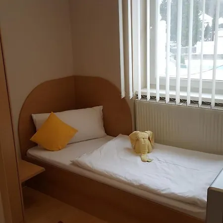 Hotel Banik